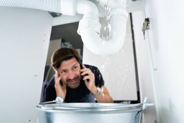 Best Clogged Drain Plumber  in Ferndale, CA
